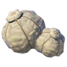 Big Hearty Truffle