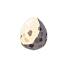 Bird Egg