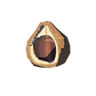 Chickaloo Tree Nut