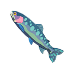 Chillfin Trout