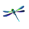 Cold Darner