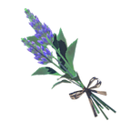 Cool Safflina