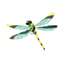 Electric Darner