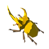 Energetic Rhino Beetle