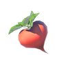 Hearty Radish