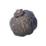 Hearty Truffle