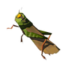 Restless Cricket