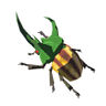 Rugged Rhino Beetle