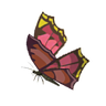 Summerwing Butterfly