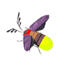 Sunset Firefly