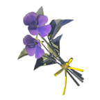 Swift Violet