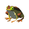 Tireless Frog