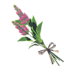 Warm Safflina