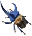 Bladed Rhino Beetle