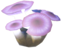 _