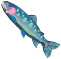 Chillfin Trout