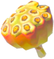 Fleet-Lotus Seeds