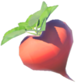 Hearty Radish