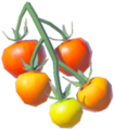 Hylian Tomato