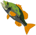 Hyrule Bass