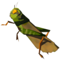 Restless Cricket