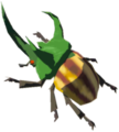 Rugged Rhino Beetle