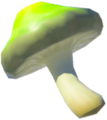 Stamella Shroom