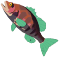 Staminoka Bass
