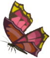 Summerwing Butterfly