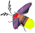 Sunset Firefly