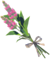 Warm Safflina